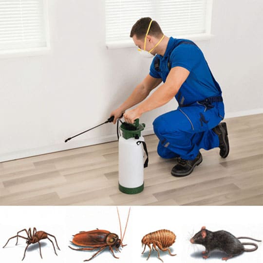 pest control company in london