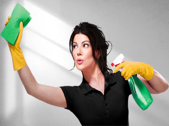 ecoserve professional cleaners